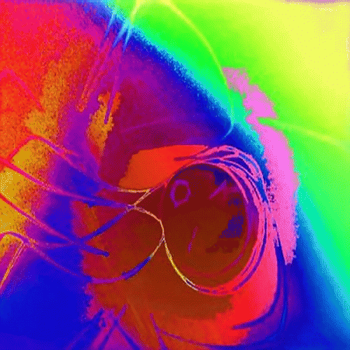 Death Of The Sad Hearts : Letdown & Dreamless EP